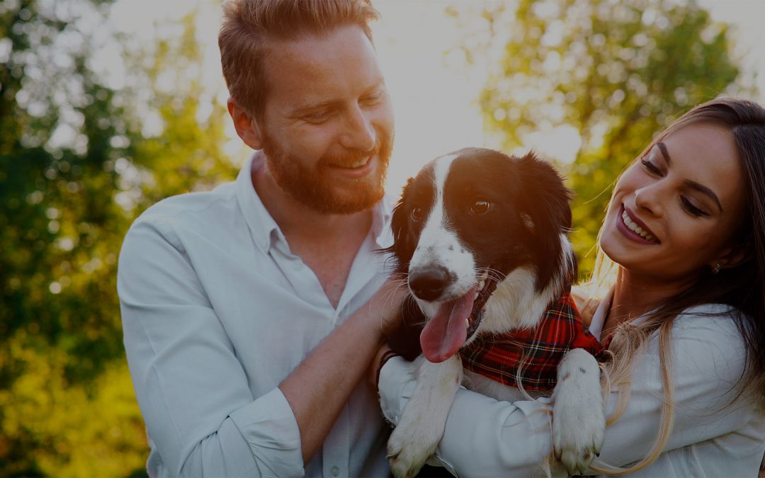 Vacation Without the Worry: Why Your Dog Deserves a Stay-cation at Bend Unleashed